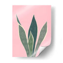 Cactus 4 - Vitor Costa | Cuadro decorativo de Canvas Lab