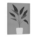 Cactus 5 - Vitor Costa | Cuadro decorativo de Canvas Lab