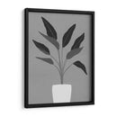 Cactus 5 - Vitor Costa | Cuadro decorativo de Canvas Lab