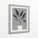 Cactus 5 - Vitor Costa | Cuadro decorativo de Canvas Lab