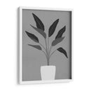 Cactus 5 - Vitor Costa | Cuadro decorativo de Canvas Lab