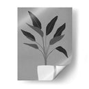 Cactus 5 - Vitor Costa | Cuadro decorativo de Canvas Lab