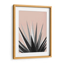 Cactus 8 - Vitor Costa | Cuadro decorativo de Canvas Lab