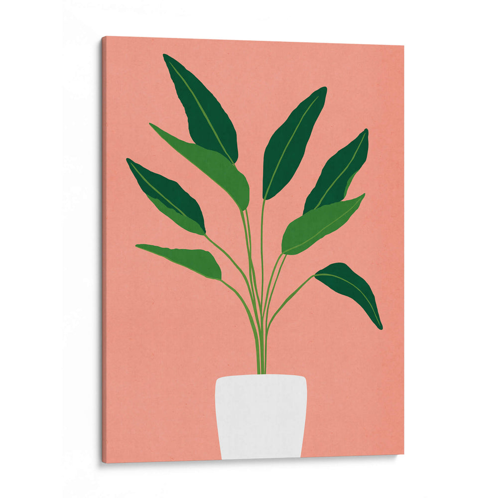 Cactus 10 - Vitor Costa | Cuadro decorativo de Canvas Lab