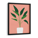 Cactus 10 - Vitor Costa | Cuadro decorativo de Canvas Lab