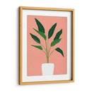 Cactus 10 - Vitor Costa | Cuadro decorativo de Canvas Lab