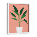 Cactus 10 - Vitor Costa | Cuadro decorativo de Canvas Lab