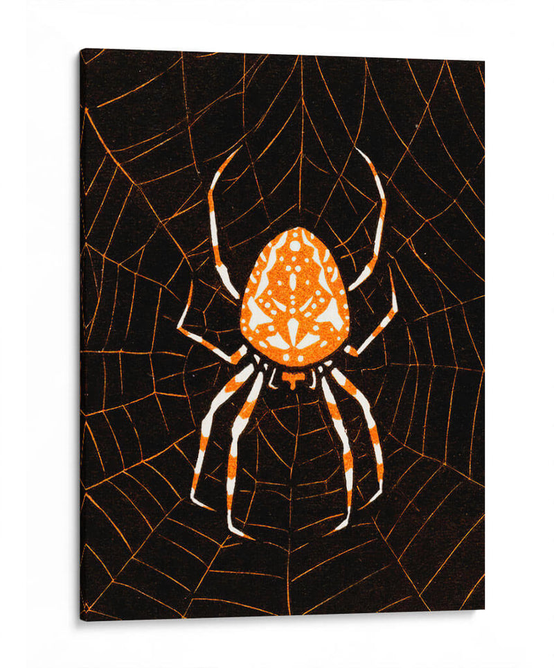 Araña en una telaraña - Julie de Graag | Cuadro decorativo de Canvas Lab