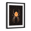 Araña en una telaraña - Julie de Graag | Cuadro decorativo de Canvas Lab
