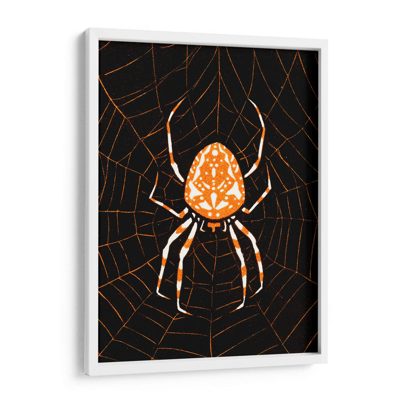 Araña en una telaraña - Julie de Graag | Cuadro decorativo de Canvas Lab