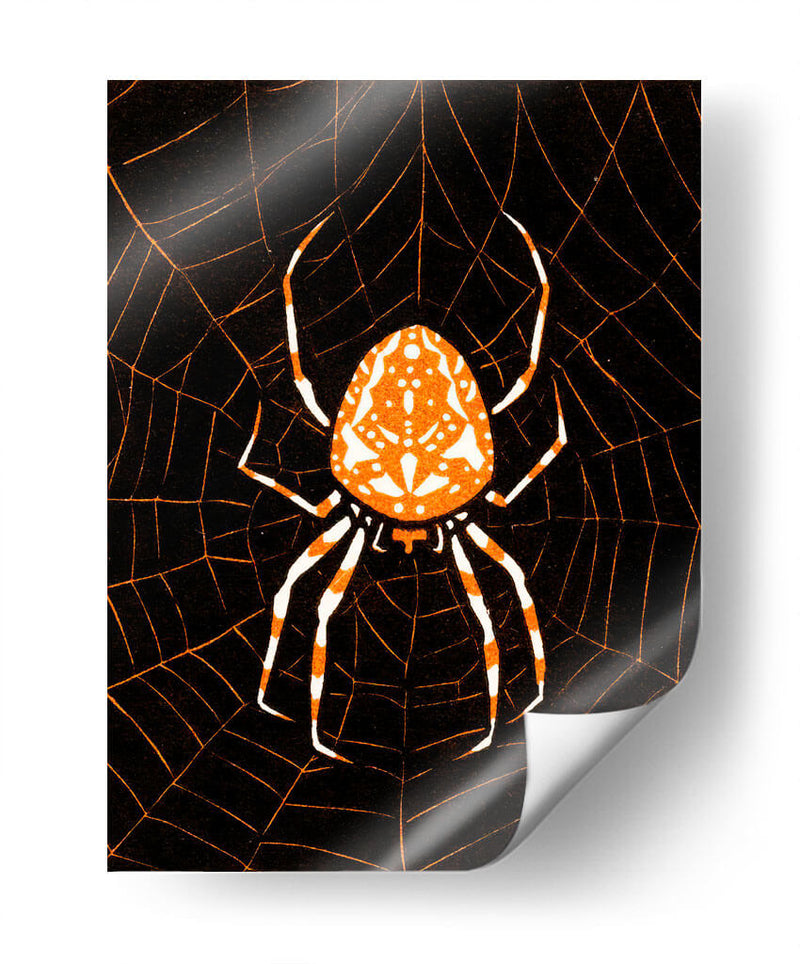 Araña en una telaraña - Julie de Graag | Cuadro decorativo de Canvas Lab