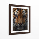 El Tigre - Infiniity Art | Cuadro decorativo de Canvas Lab