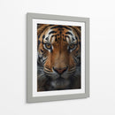 El Tigre - Infiniity Art | Cuadro decorativo de Canvas Lab