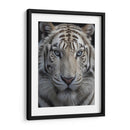 Tigre Blanco - Infiniity Art | Cuadro decorativo de Canvas Lab