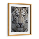 Tigre Blanco - Infiniity Art | Cuadro decorativo de Canvas Lab