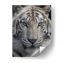 Tigre Blanco - Infiniity Art | Cuadro decorativo de Canvas Lab