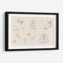 Hoja de estudio con gladiolos y flor de manzano - Julie de Graag | Cuadro decorativo de Canvas Lab