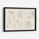 Hoja de estudio con gladiolos y flor de manzano - Julie de Graag | Cuadro decorativo de Canvas Lab