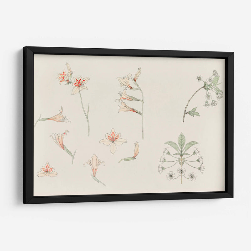 Hoja de estudio con gladiolos y flor de manzano - Julie de Graag | Cuadro decorativo de Canvas Lab