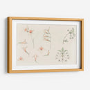 Hoja de estudio con gladiolos y flor de manzano - Julie de Graag | Cuadro decorativo de Canvas Lab