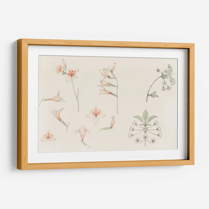 Hoja de estudio con gladiolos y flor de manzano - Julie de Graag | Cuadro decorativo de Canvas Lab