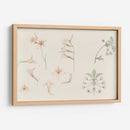 Hoja de estudio con gladiolos y flor de manzano - Julie de Graag | Cuadro decorativo de Canvas Lab