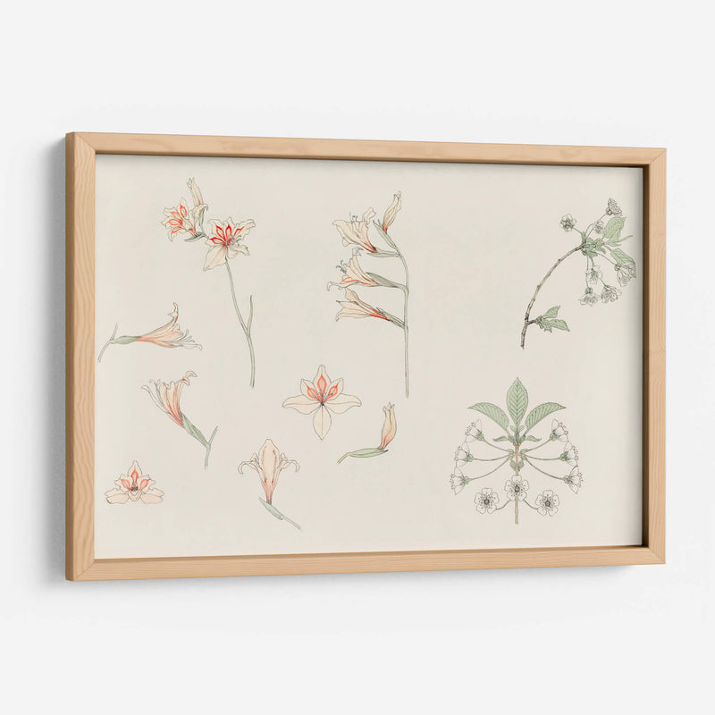 Hoja de estudio con gladiolos y flor de manzano - Julie de Graag | Cuadro decorativo de Canvas Lab