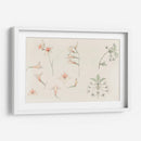 Hoja de estudio con gladiolos y flor de manzano - Julie de Graag | Cuadro decorativo de Canvas Lab