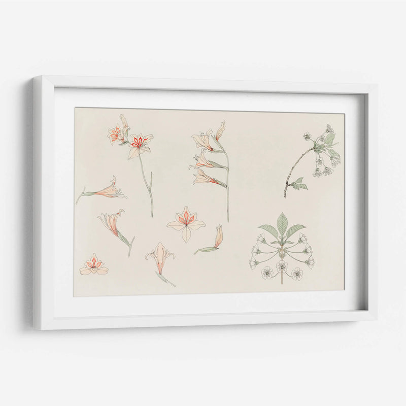 Hoja de estudio con gladiolos y flor de manzano - Julie de Graag | Cuadro decorativo de Canvas Lab