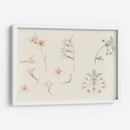 Hoja de estudio con gladiolos y flor de manzano - Julie de Graag | Cuadro decorativo de Canvas Lab