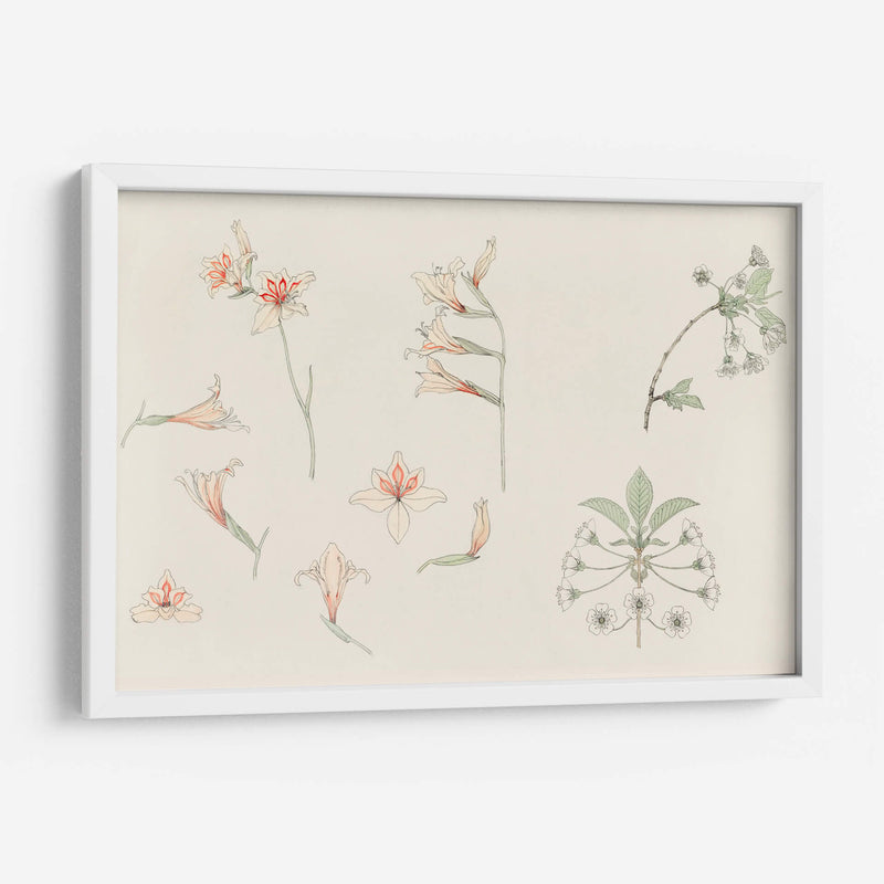 Hoja de estudio con gladiolos y flor de manzano - Julie de Graag | Cuadro decorativo de Canvas Lab