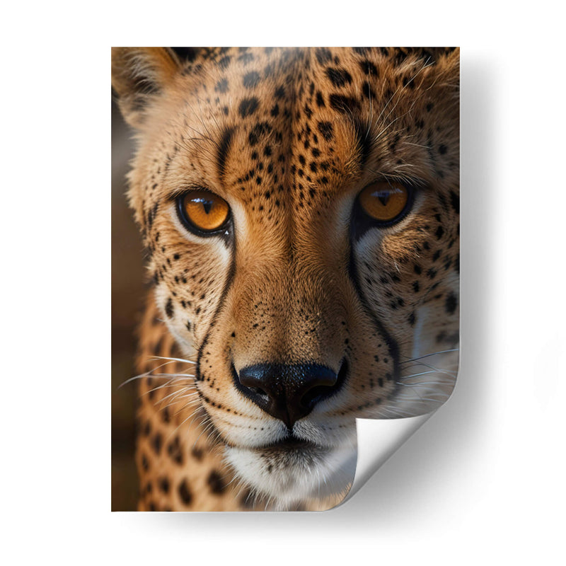 Guepardo - Infiniity Art | Cuadro decorativo de Canvas Lab