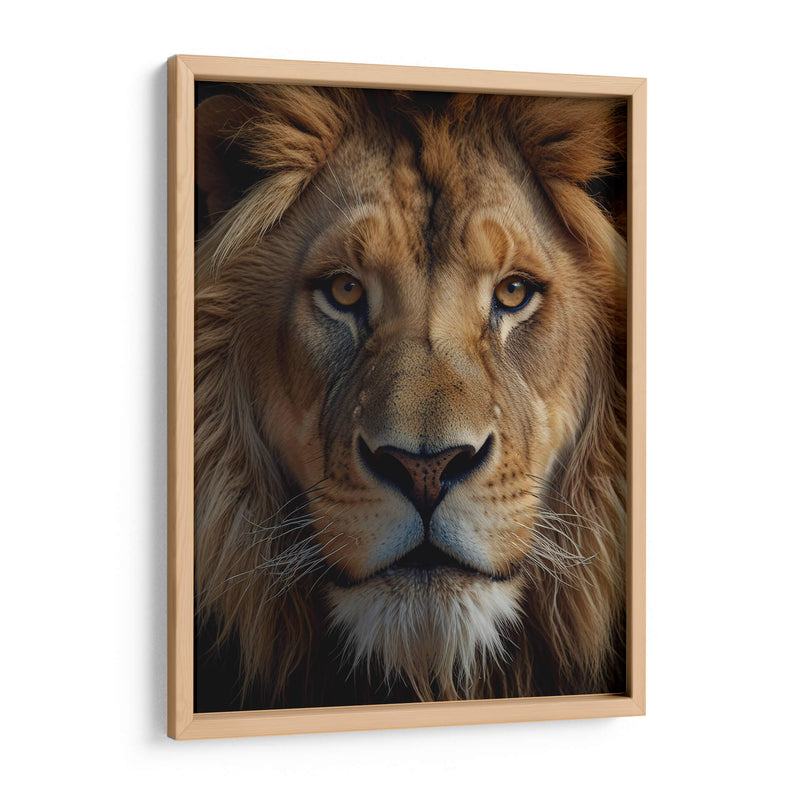 León Noble - Infiniity Art | Cuadro decorativo de Canvas Lab