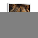 León Noble - Infiniity Art | Cuadro decorativo de Canvas Lab