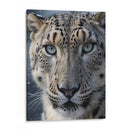 Leopardo De Las Nieves - Infiniity Art | Cuadro decorativo de Canvas Lab