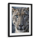 Leopardo De Las Nieves - Infiniity Art | Cuadro decorativo de Canvas Lab