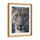 Leopardo De Las Nieves - Infiniity Art | Cuadro decorativo de Canvas Lab