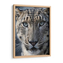 Leopardo De Las Nieves - Infiniity Art | Cuadro decorativo de Canvas Lab