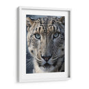 Leopardo De Las Nieves - Infiniity Art | Cuadro decorativo de Canvas Lab