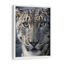Leopardo De Las Nieves - Infiniity Art | Cuadro decorativo de Canvas Lab