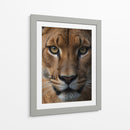 Puma - Infiniity Art | Cuadro decorativo de Canvas Lab