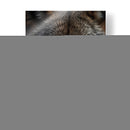 Lobo Gris - Infiniity Art | Cuadro decorativo de Canvas Lab