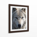 Lobo Ártico - Infiniity Art | Cuadro decorativo de Canvas Lab