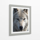 Lobo Ártico - Infiniity Art | Cuadro decorativo de Canvas Lab