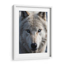 Lobo Ártico - Infiniity Art | Cuadro decorativo de Canvas Lab