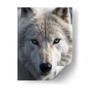 Lobo Ártico - Infiniity Art | Cuadro decorativo de Canvas Lab