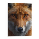 Zorro II - Infiniity Art | Cuadro decorativo de Canvas Lab