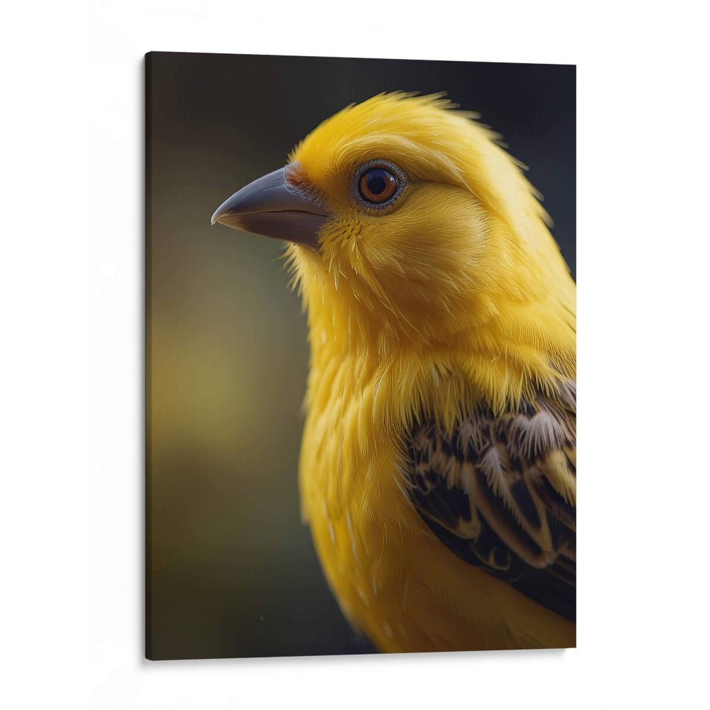 Canario - Infiniity Art | Cuadro decorativo de Canvas Lab