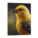 Canario - Infiniity Art | Cuadro decorativo de Canvas Lab