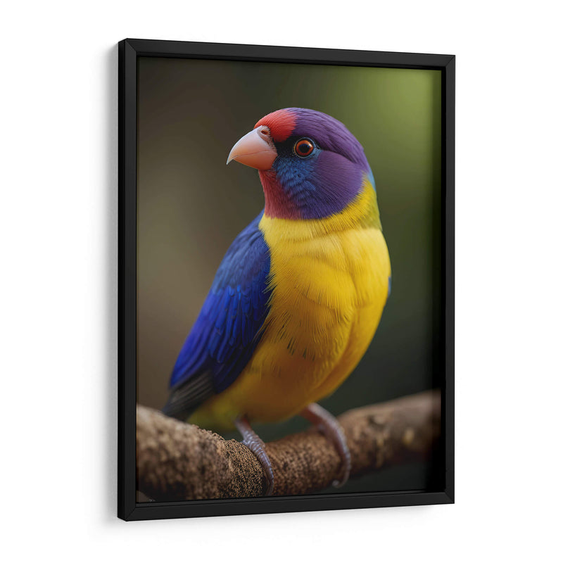 Diamante de Gould - Infiniity Art | Cuadro decorativo de Canvas Lab